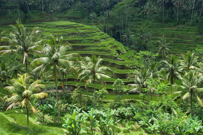 View of Indonesia
